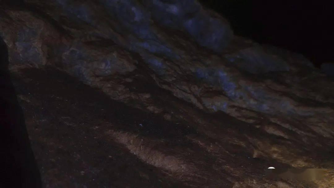 预制“年夜饭”主打一个量身定制