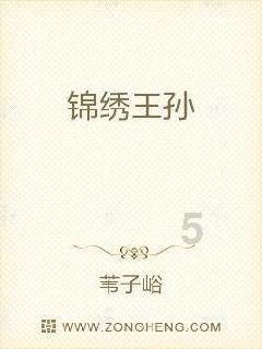 动漫传奇2.5